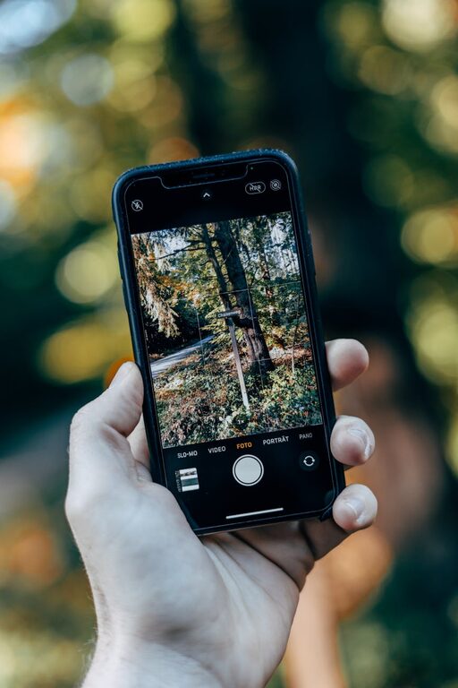 Beginner Tips for Taking Better Phone Photos